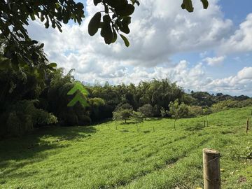 Finca ganadera en venta Circasia Quindío 15 cuadras LECHERIA