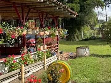 Finca ganadera en venta Circasia Quindío 15 cuadras LECHERIA