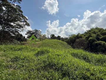 Finca ganadera en venta Circasia Quindío 15 cuadras LECHERIA
