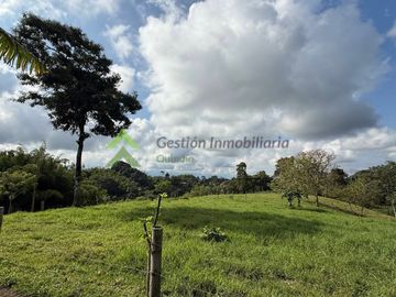 Finca ganadera en venta Circasia Quindío 15 cuadras LECHERIA