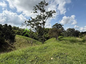 Finca ganadera en venta Circasia Quindío 15 cuadras LECHERIA