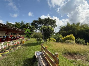 Finca ganadera en venta Circasia Quindío 15 cuadras LECHERIA