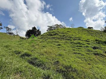 Finca ganadera en venta Circasia Quindío 15 cuadras LECHERIA