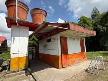 Finca ganadera en venta Circasia Quindío 15 cuadras LECHERIA