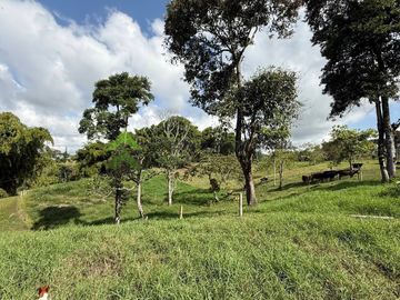 Finca ganadera en venta Circasia Quindío 15 cuadras LECHERIA