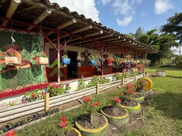 Finca ganadera en venta Circasia Quindío 15 cuadras LECHERIA