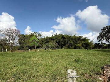 Finca ganadera en venta Circasia Quindío 15 cuadras LECHERIA