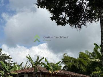 Finca ganadera en venta Circasia Quindío 15 cuadras LECHERIA