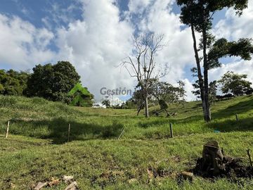 Finca ganadera en venta Circasia Quindío 15 cuadras LECHERIA