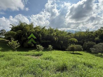 Finca ganadera en venta Circasia Quindío 15 cuadras LECHERIA