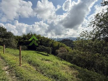 Finca ganadera en venta Circasia Quindío 15 cuadras LECHERIA