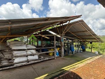 Finca ganadera en venta Circasia Quindío 15 cuadras LECHERIA