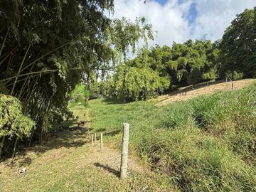 Finca ganadera en venta Circasia Quindío 15 cuadras LECHERIA