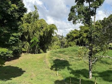 Finca ganadera en venta Circasia Quindío 15 cuadras LECHERIA