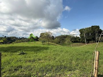 Finca ganadera en venta Circasia Quindío 15 cuadras LECHERIA