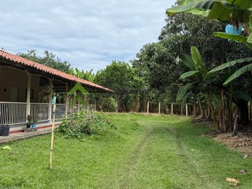 Se vende finca productiva en Quimbaya Quindío 130 CUADRAS EN PLATANO