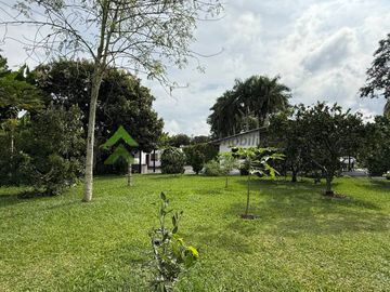 Finca pequeña en venta Armenia Quindío vía La Tebaida