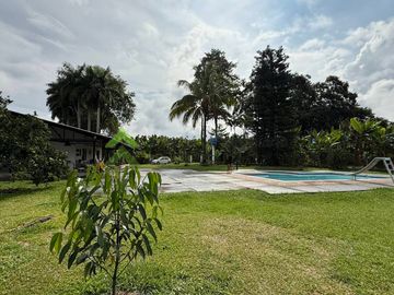 Finca pequeña en venta Armenia Quindío vía La Tebaida