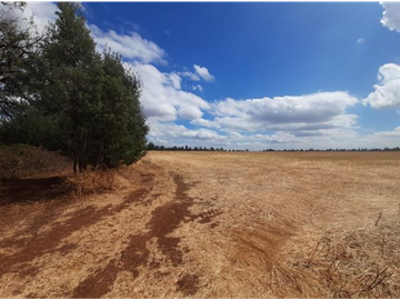 SE VENDE PREDIO AGRCOLA ENTRE LOS NGELES Y MULCHÉN