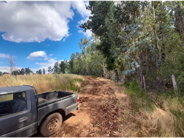 SE VENDE PREDIO AGRCOLA ENTRE LOS NGELES Y MULCHÉN