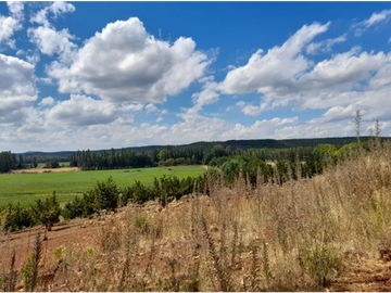 SE VENDE PREDIO AGRCOLA ENTRE LOS NGELES Y MULCHÉN