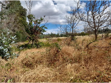 SE VENDE PREDIO AGRCOLA ENTRE LOS NGELES Y MULCHÉN