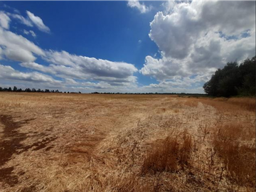 SE VENDE PREDIO AGRCOLA ENTRE LOS NGELES Y MULCHÉN