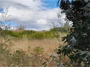 SE VENDE PREDIO AGRCOLA ENTRE LOS NGELES Y MULCHÉN