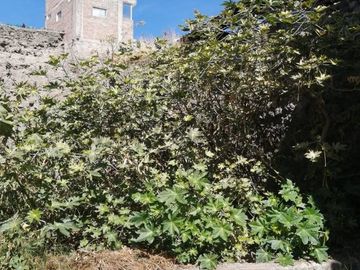 SE VENDE CASA COMO TERRENO  A  2 MIN PLAZA DE ARMAS DE HUAMANGA