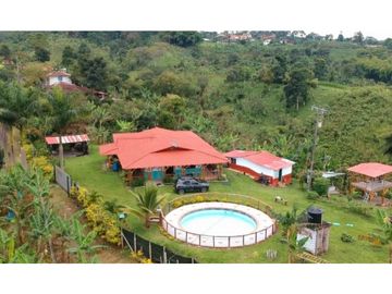 Finca en venta entre Filandia- Quimbaya Quindio