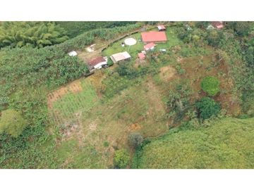 Finca en venta entre Filandia- Quimbaya Quindio