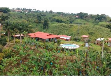 Finca en venta entre Filandia- Quimbaya Quindio