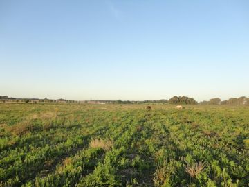 Venta de Chacra 3.15ha en Alsina Pcia. de Buenos Aires