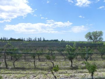 Quinta en venta - 4 Dormitorios 2 Baños - Cochera - 150.000mts2 - San Rafael