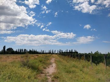 Quinta en venta - 4 Dormitorios 2 Baños - Cochera - 150.000mts2 - San Rafael