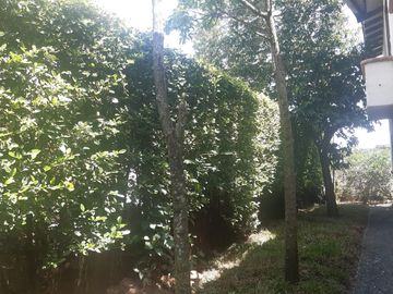 Vendo Casa en condominio campestre, Cali - Cascajal