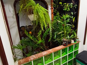 Vendo Casa de 2 pisos barrio Caney. Uso del suelo Comercial