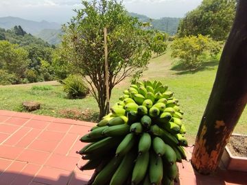 Venta Dapa Casa Finca Para Remodelar A Su Gusto, Sector Miravalle Yumbo Dapa Finca Lote Casa Campestre