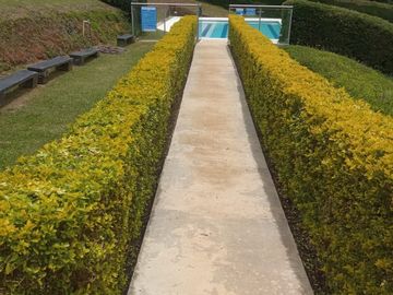 Venta Casa Campestre A 10 Minutos Del Lago Calima