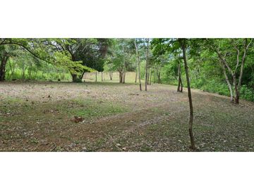 TERRENO COMERCIAL / SAJALICES / 10,000 M2 / VIA INTERAMERICANA