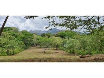 TERRENO COMERCIAL / SAJALICES / 10,000 M2 / VIA INTERAMERICANA