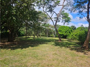 TERRENO COMERCIAL / SAJALICES / 10,000 M2 / VIA INTERAMERICANA