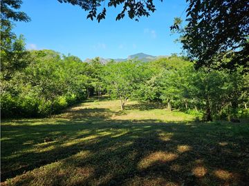 TERRENO COMERCIAL / SAJALICES / 10,000 M2 / VIA INTERAMERICANA