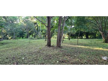 TERRENO COMERCIAL / SAJALICES / 10,000 M2 / VIA INTERAMERICANA