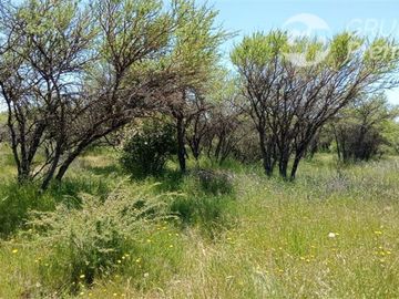 Parcela en Venta en A 15 MINUTOS DEL CENTRO DE CAUQUENES Y MEDIA HORA DE PLAYA CHANCO Y PELLUHUE