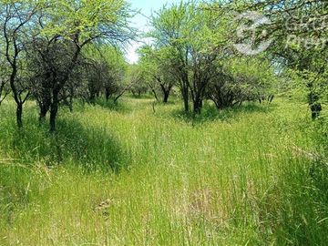 Parcela en Venta en A 15 MINUTOS DEL CENTRO DE CAUQUENES Y MEDIA HORA DE PLAYA CHANCO Y PELLUHUE
