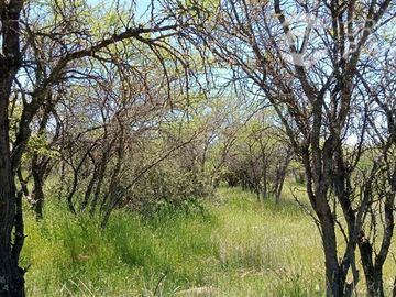 Parcela en Venta en A 15 MINUTOS DEL CENTRO DE CAUQUENES Y MEDIA HORA DE PLAYA CHANCO Y PELLUHUE