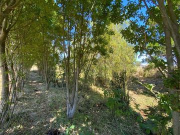 Parcela en Venta en LA PASADA CHANHUE COMUNA DE LOS MUERMOS