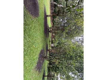 SE VENDE FINCA EN EL CARMEN VA LA CEJA RIONEGRO INDEPENDIENTE