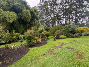 SE VENDE FINCA EN EL CARMEN VA LA CEJA RIONEGRO INDEPENDIENTE